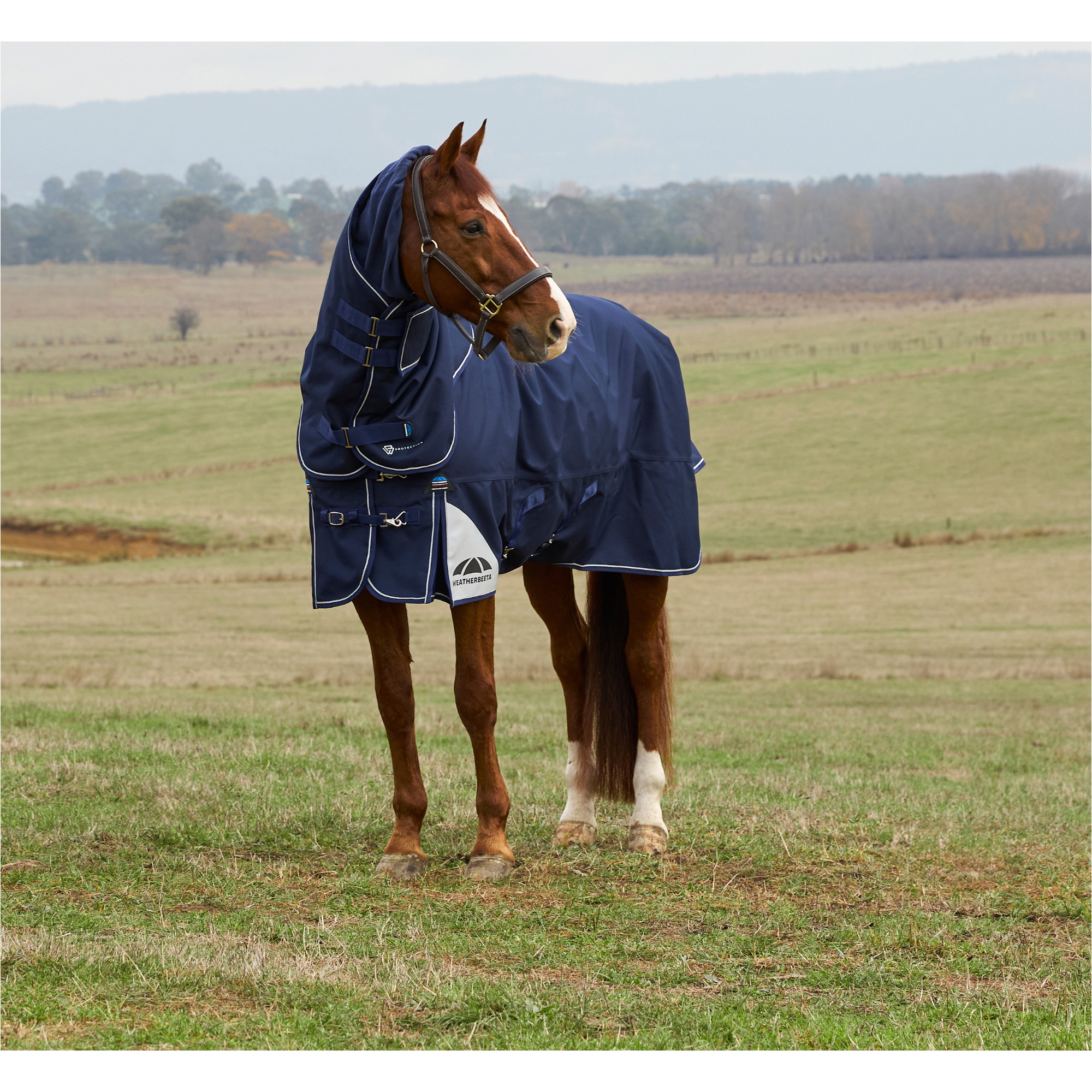 2025 Weatherbeeta Comfitec Ultra Turnout Detach-A-Neck 1028772 - Navy